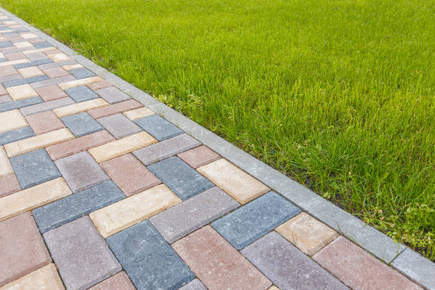 Best Interlocking Driveway Pavers  in Collins, MS